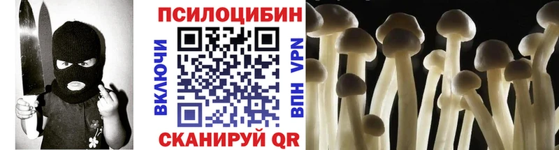 маркетплейс какой сайт  Болохово  Псилоцибиновые грибы прущие грибы 
